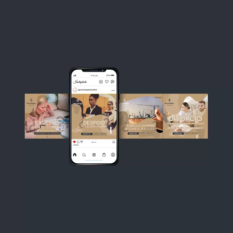 P.P. Correa & Asociados